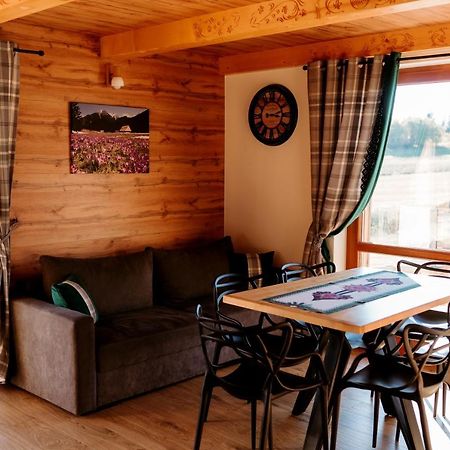 Osada Dursztyn- Przystanek Podhale Villa Bialka Tatrzanska Dış mekan fotoğraf
